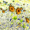Expressionist Flowers  Sun Flowers #5978